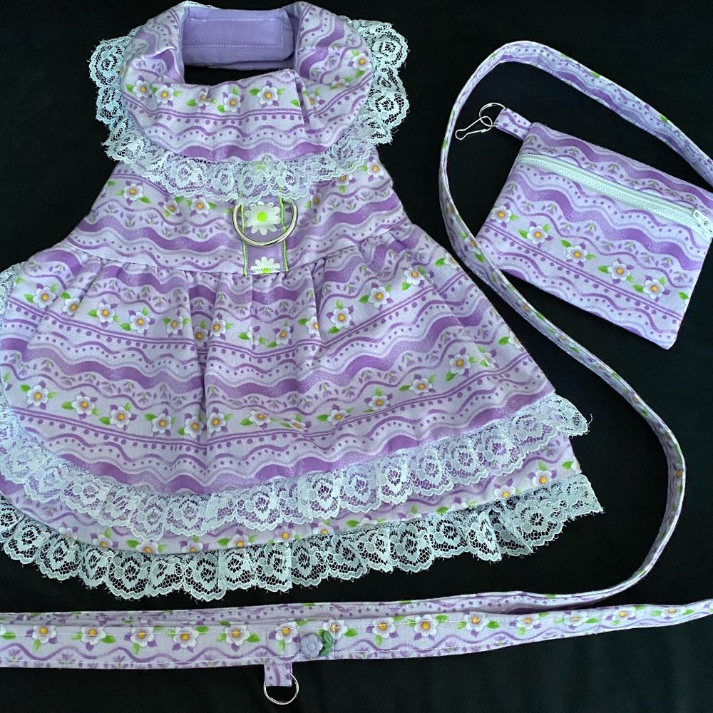 New Small Dog dress with matching leash & bag